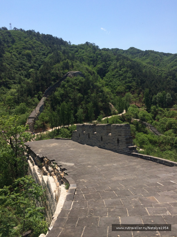 photo 1039941