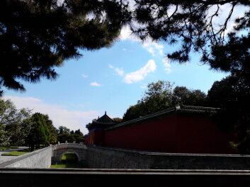 photo 1040493