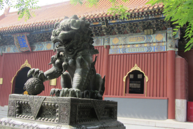 photo 1123598