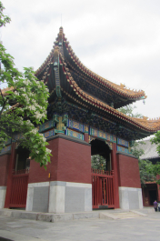 photo 1123631