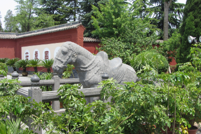 photo 1123879