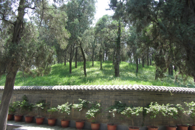 photo 1123956