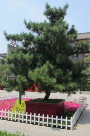 photo 1124316