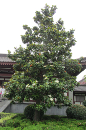 photo 1124624