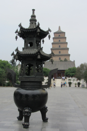 photo 1124642