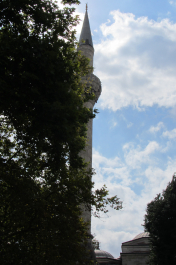 photo 1126033