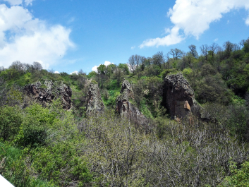 photo 1358011