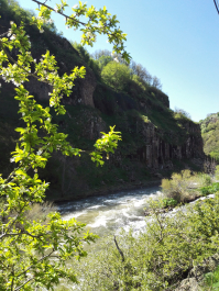 photo 1358017