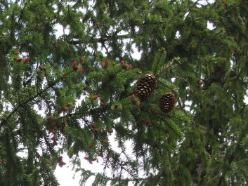 photo 1358063
