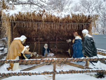 photo 1358403