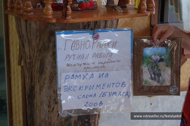 photo 298650