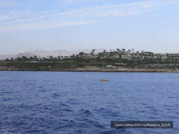 photo 211435