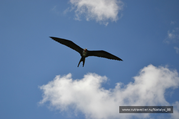 photo 258029