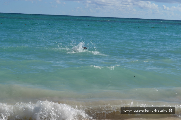photo 258035