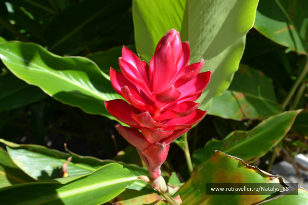 photo 258044