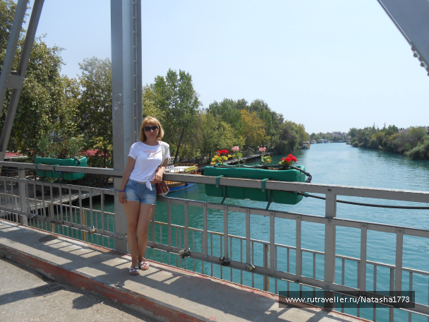 photo 1533013