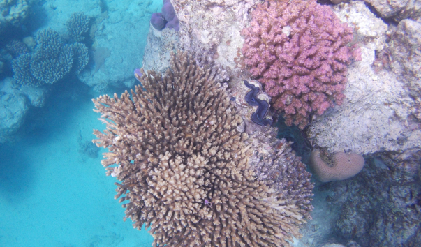 DSCN1373