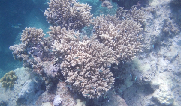 DSCN1356