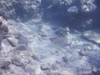 photo 996304