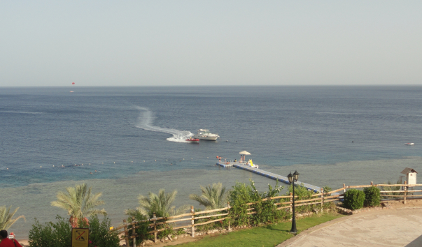 DSC01870