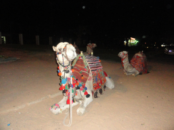 photo 1089829