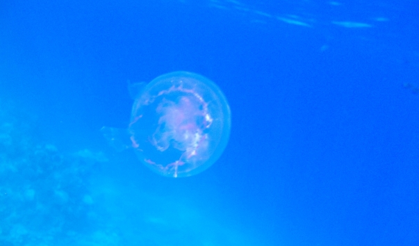 DSCN1179