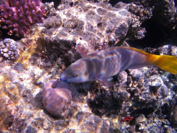 photo 926655