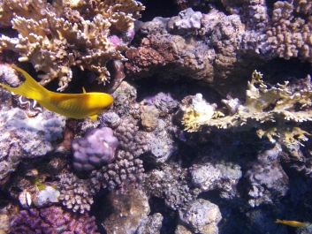 photo 926660