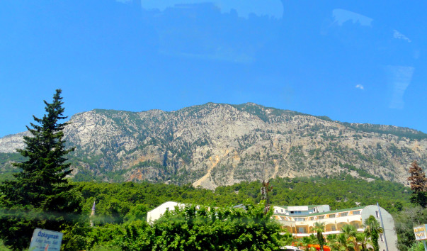 DSC08474