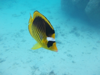 photo 936984