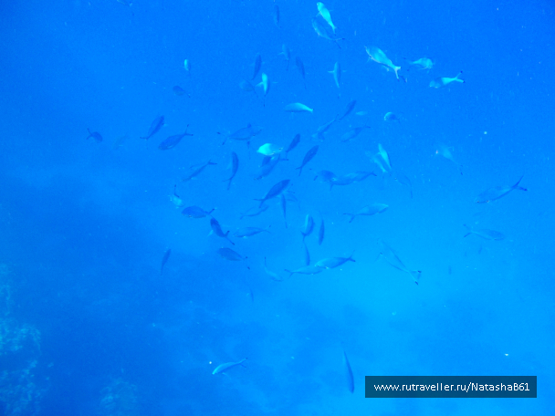 photo 996679