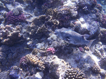 photo 996685