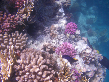 photo 997032