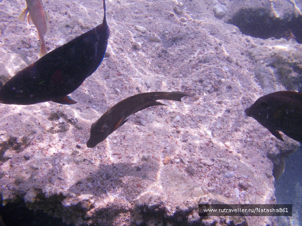 photo 997433