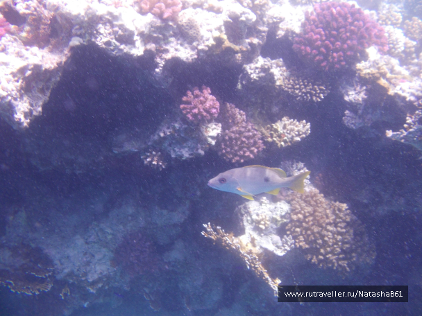 photo 1001221