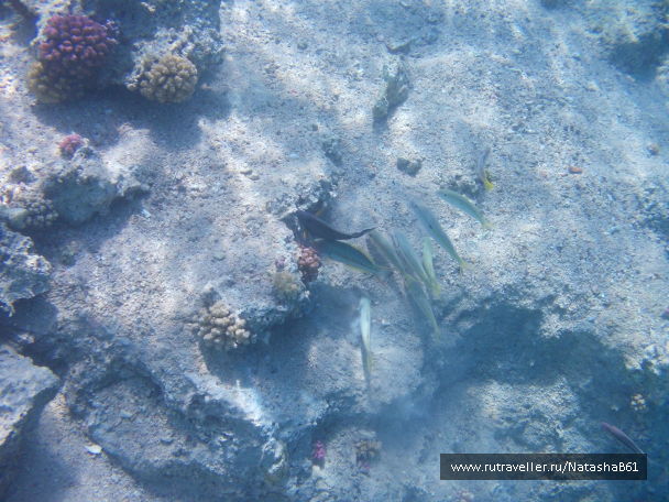 photo 1007684