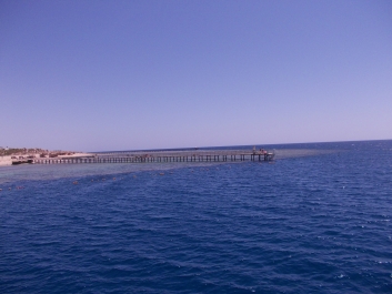 photo 955174