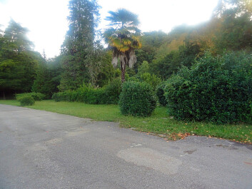 photo 1165915