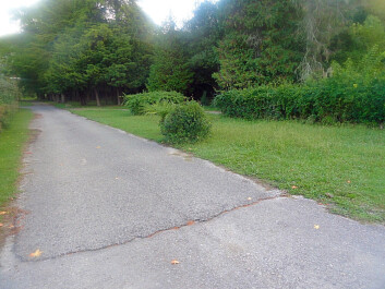 photo 1166326