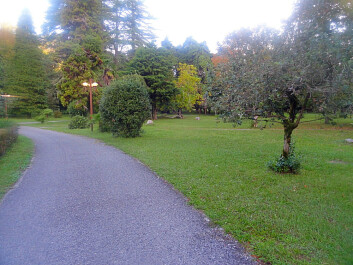 photo 1166330