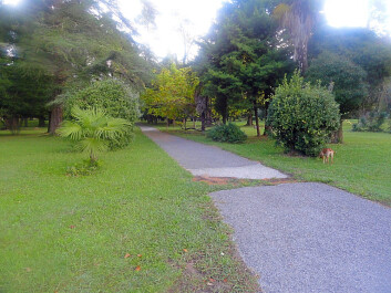photo 1167551