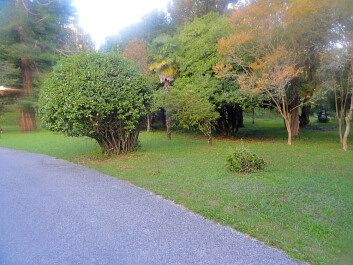 photo 1167552