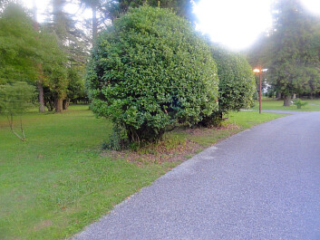 photo 1167558