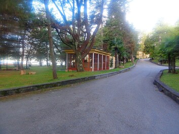 photo 1169615
