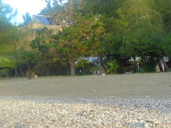 photo 1170221