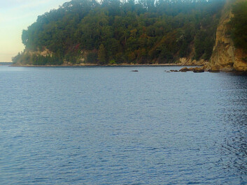 photo 1171853