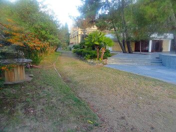 photo 1172477