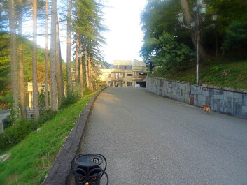 photo 1172580