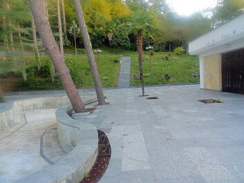 photo 1172581