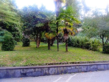 photo 1174498